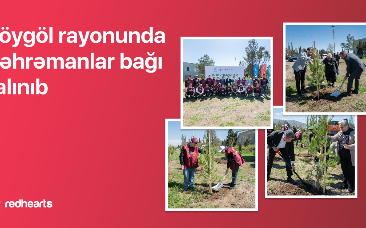 Göygöldə “Qəhrəmanlar bağı” aksiyası həyata keçirilib